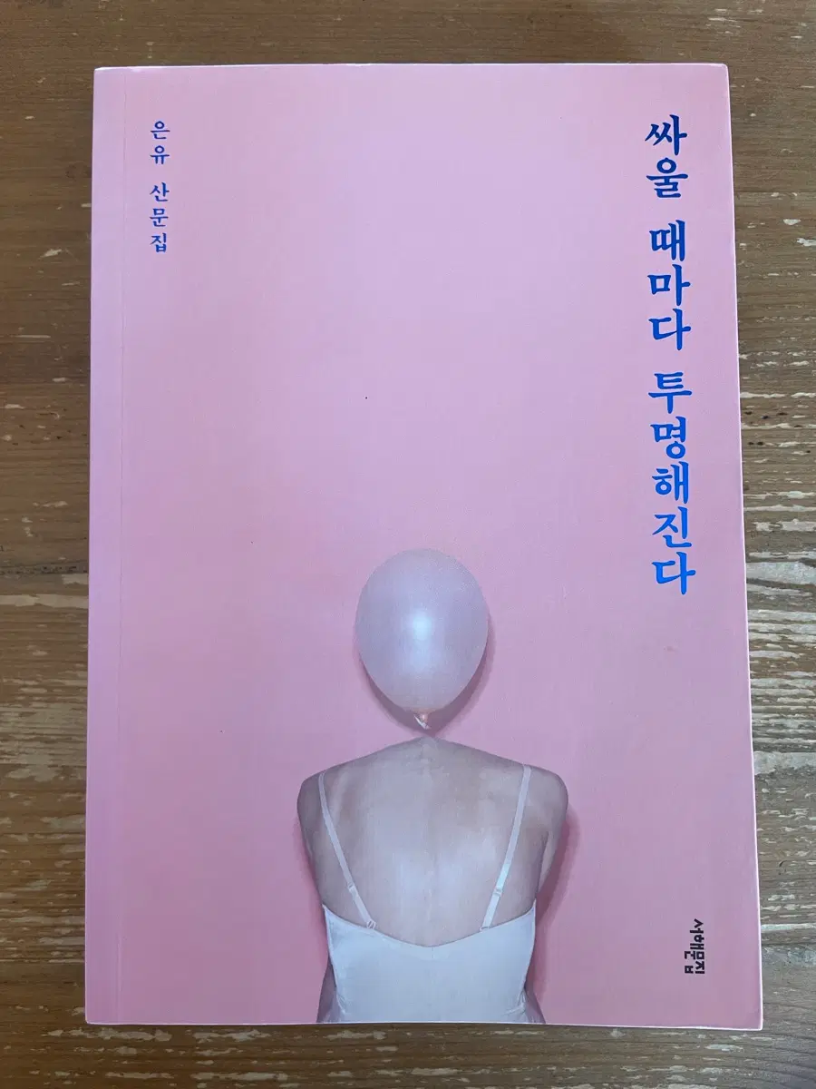 싸울 때마다 투명해진다 : 은유 산문집