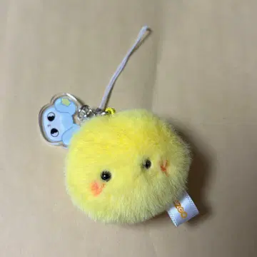 스키즈 포가리 키링