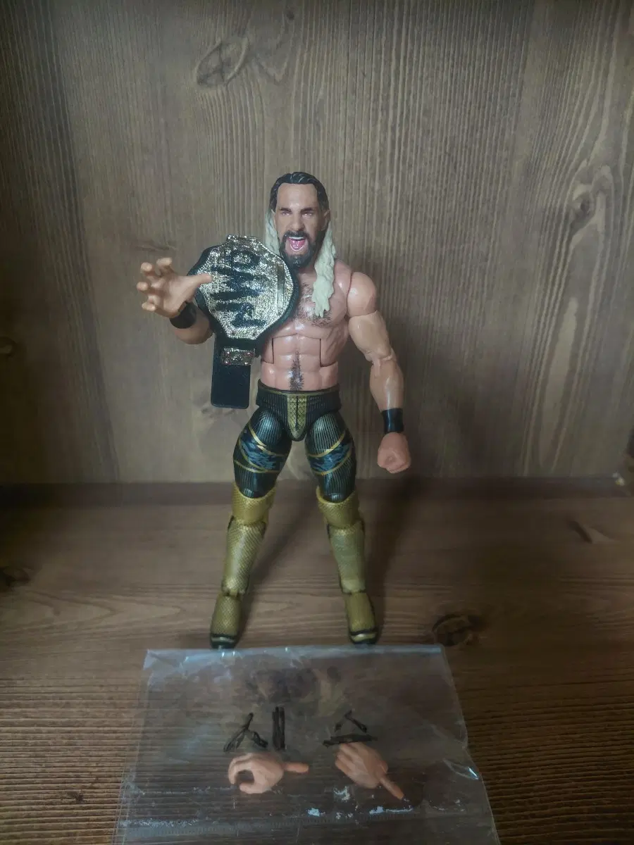 wwe. 시스 피규어