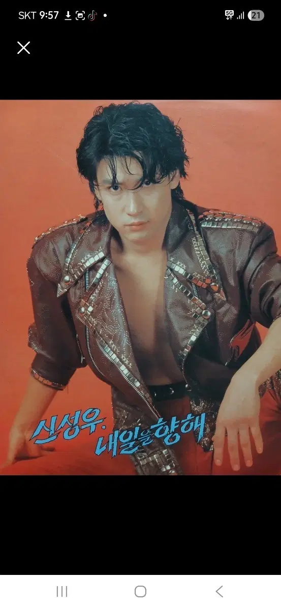 신성우 내일을향해 lp