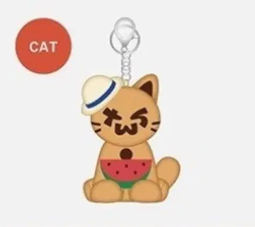 TWS SODASODA POPUP 일광화상 투냥이