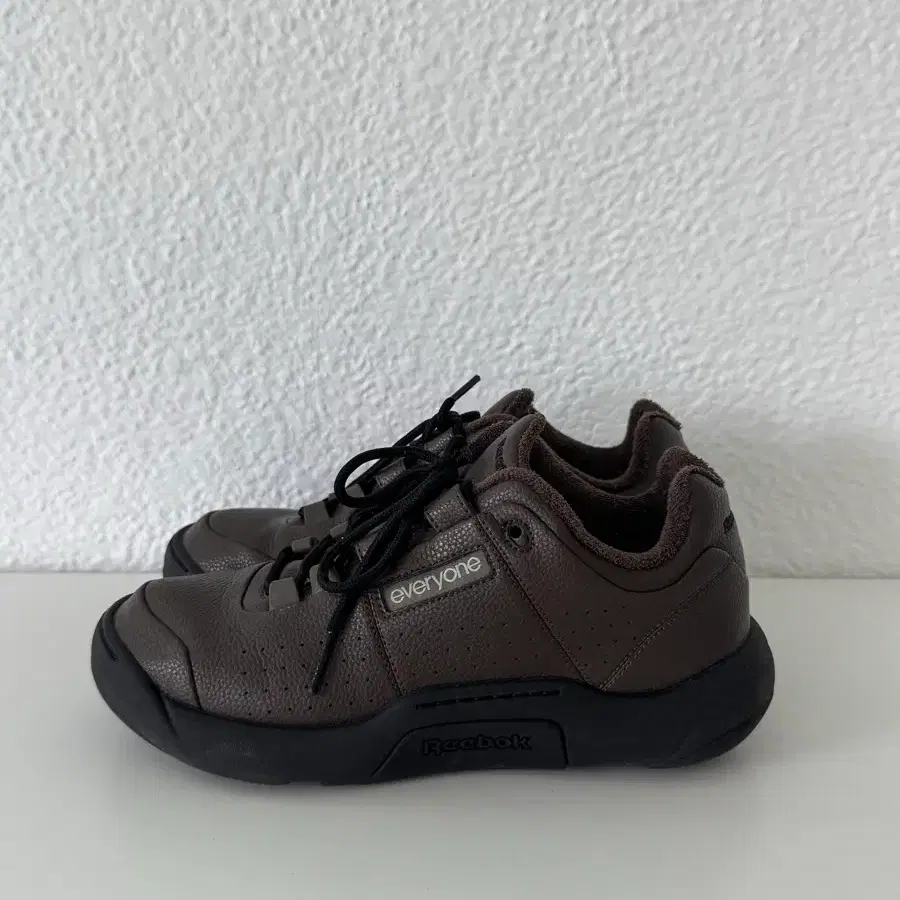 Everyone X Reebok