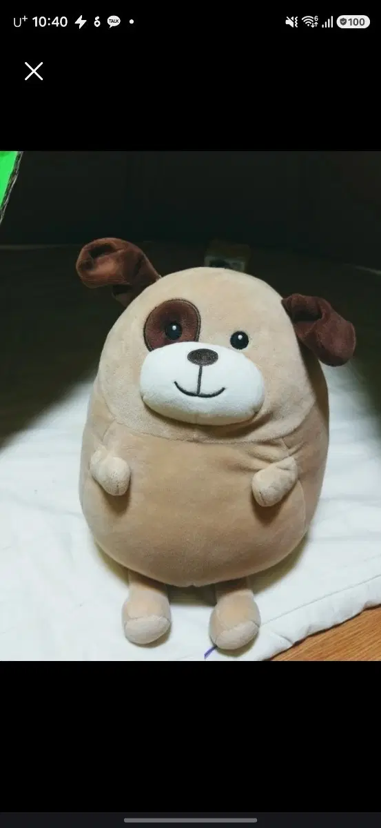 이렇게생긴 다이소 강아지인형 삽니다