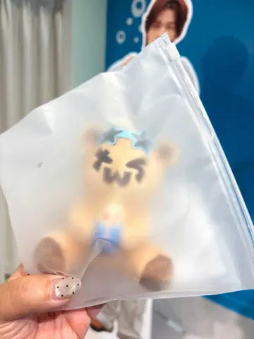 TWS 플러시 키링 베어