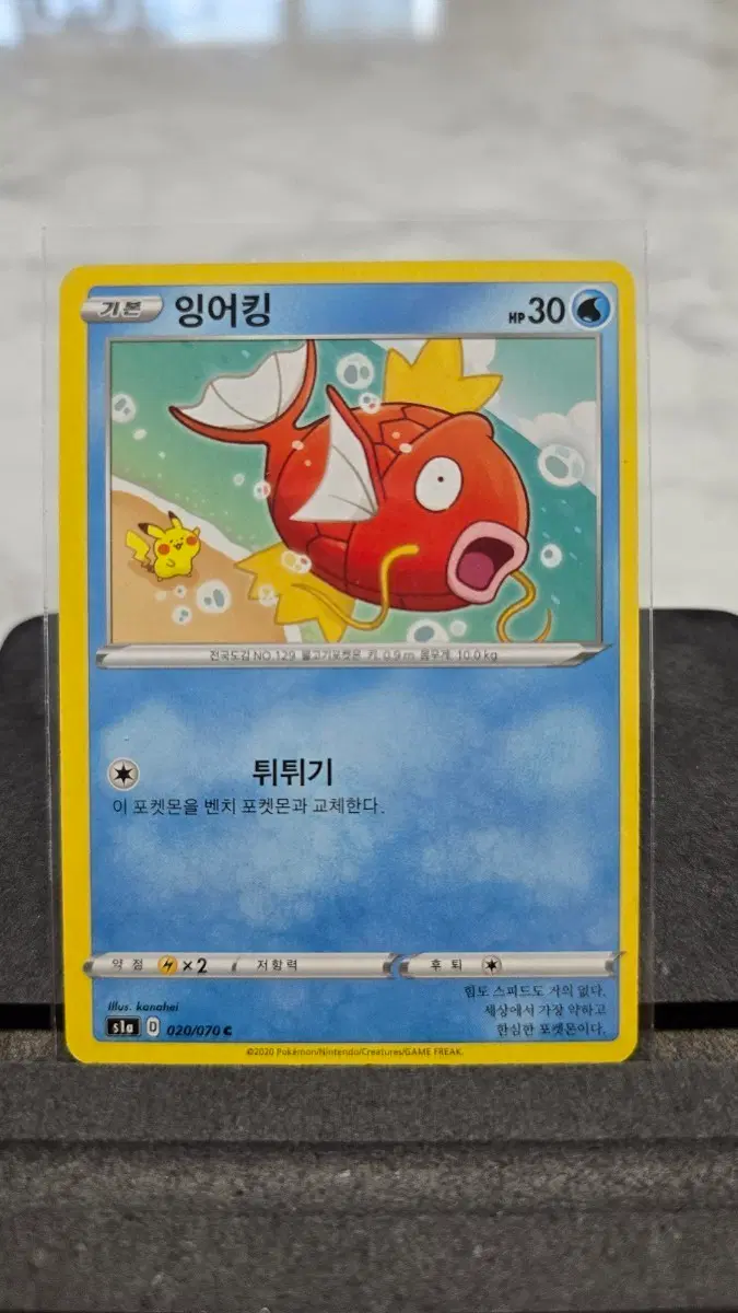 포켓몬카드 희귀 잉어킹 카드 판매합니다