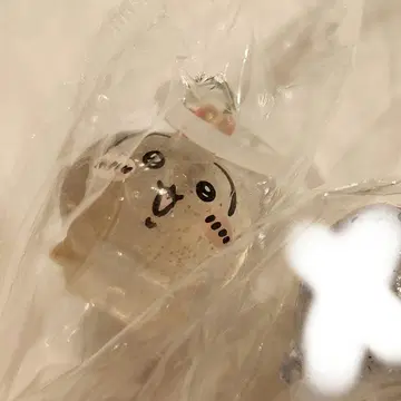 치이카와 파크 메지루시 액세서리 토끼 입장 특전