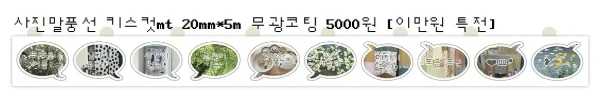평화조각) 서일페 신상 외 키스컷