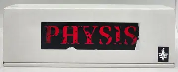 SHOCK-NIN (오리지널 레진 키트) PHYSIS