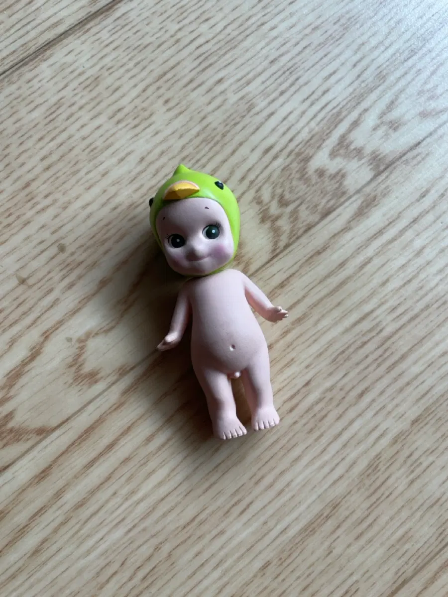 소니엔젤 잉꼬