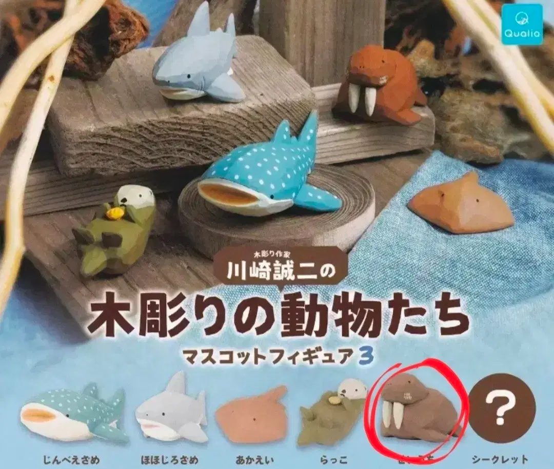 가챠 가와사키 세이지 목각동물 마스코트 3탄 바다코끼리