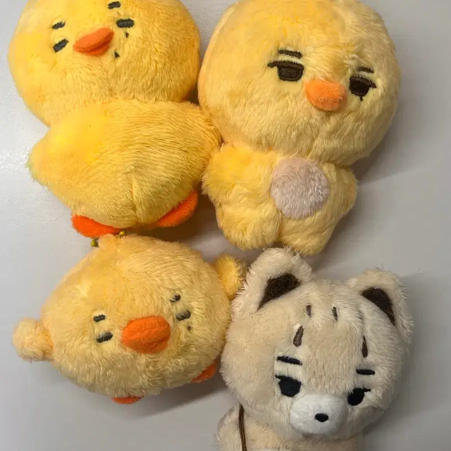 엔하이픈 니키 인형 니코야키 무라삐 카와삐 아기퓨니 양도