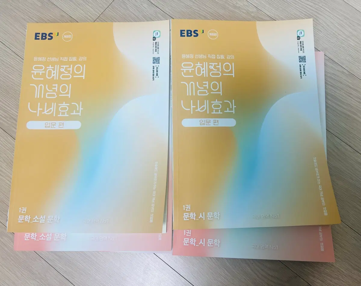 윤혜정의 개념의 나비효과 입문편 문학 세트