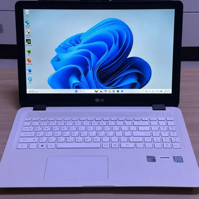 LG 고사양 게이밍 노트북 (램 16GB/SSD 256GB/HDD 1TB)