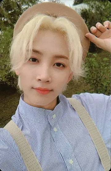 SEVENTEEN Hope JEONGHAN An Ode 그린