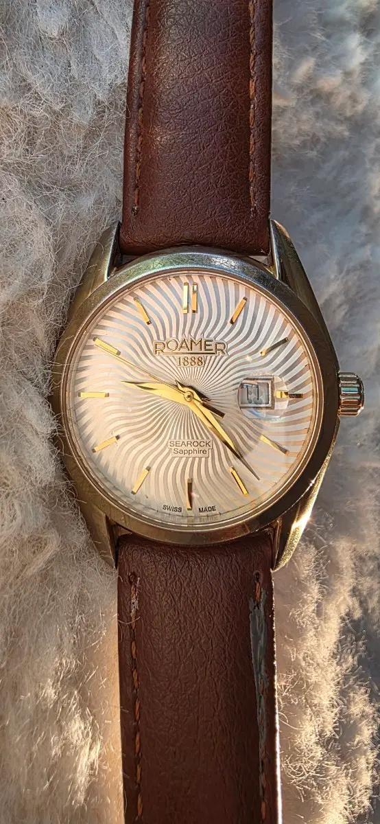 #272) SWISS ROAMER