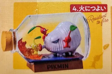 리멘트 테라리움 컬렉션 불에 강한