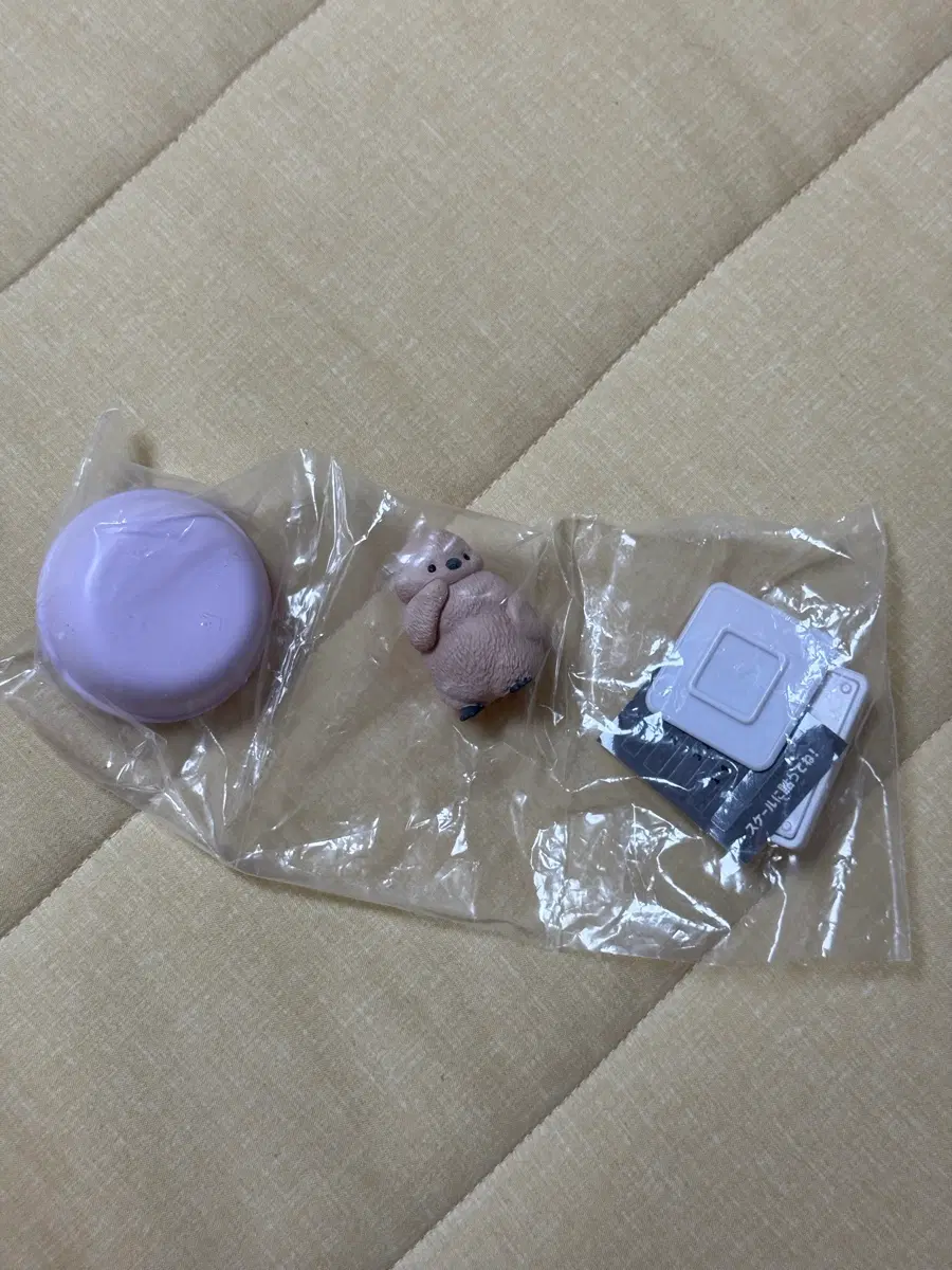 펭귄 가챠
