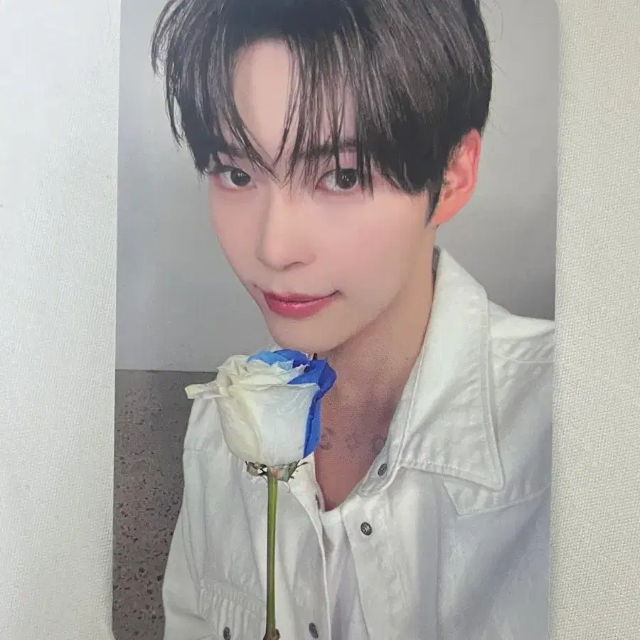 제로베이스원 제베원 성한빈 제로즈 멤버십 장미 포카
