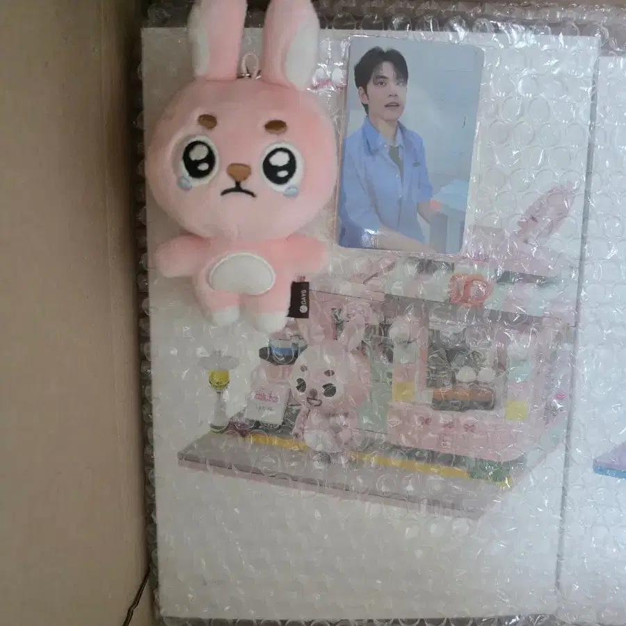 데이식스 원필 키링 뿌엥필, 브릭세트 일괄양도