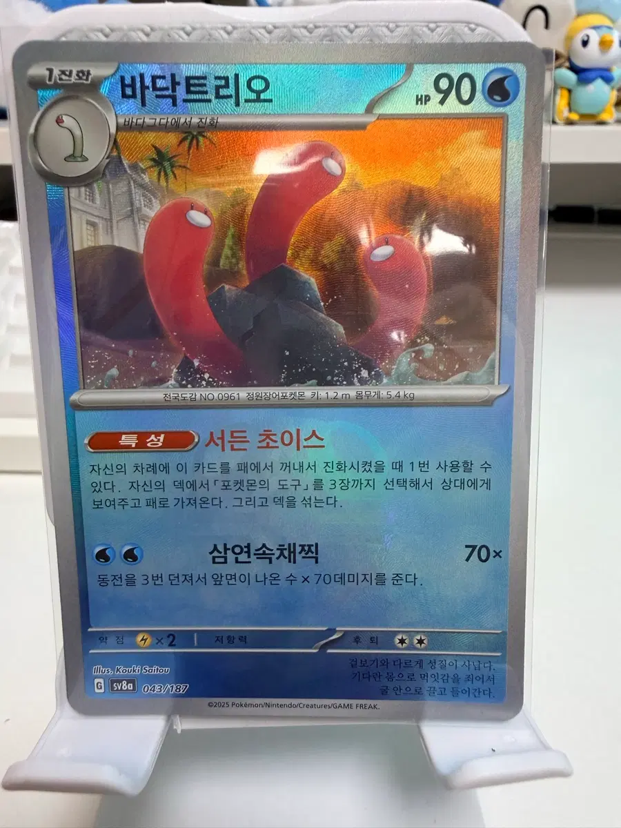 포켓몬카드 바닥트리오 마스터볼