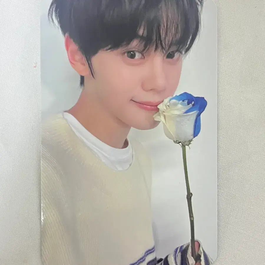 제로베이스원 제베원 앤더블 김규빈 제로즈 멤버십 장미 포카