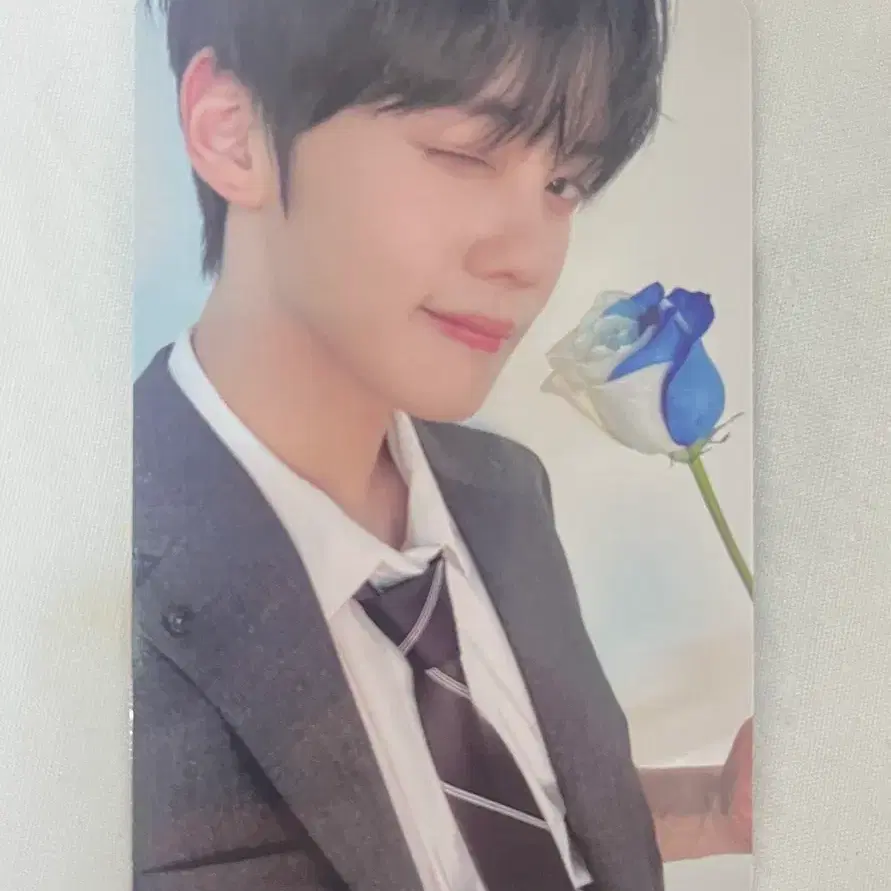 제로베이스원 제베원 앤더블 김규빈 제로즈 멤버십 장미 포카