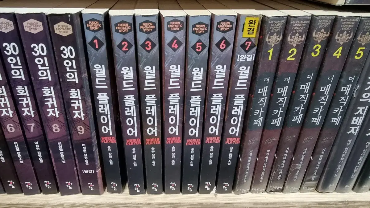 월드플레이어 1-7 완 승유 판타지 소설