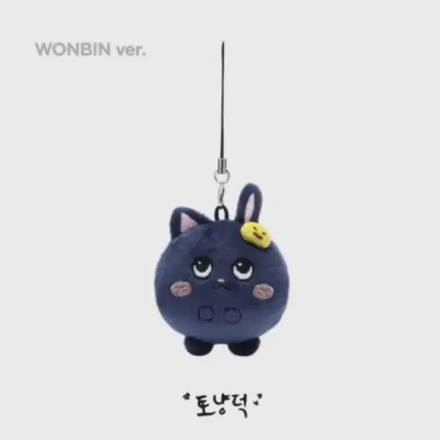 라이즈 원빈 미니토냥덕 양도