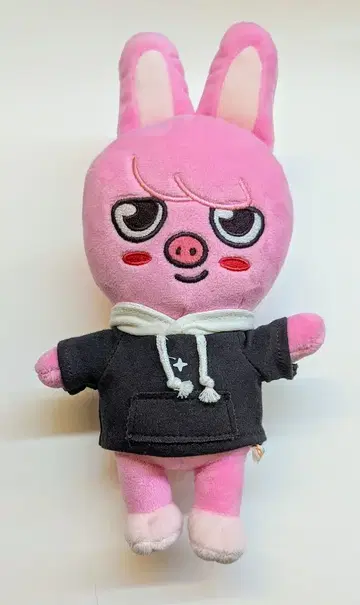 StrayKids 2024MAGIC SCHOOL Changbin DWAEKKI 25cm