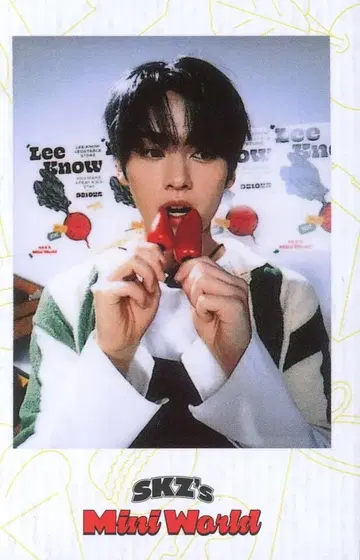 StrayKids MINI WORLD LeeKnow 2023 시즌 그리팅 화이트/POB