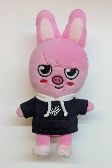StrayKids 2024 MAGIC SCHOOL 창빈 DWAEKKI 20cm