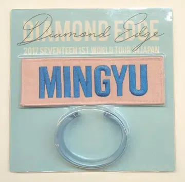 SEVENTEEN 2017 DIAMOND EDGE IN JAPAN MINGYU 와펜 배지 + 아크릴 뱅글 세트