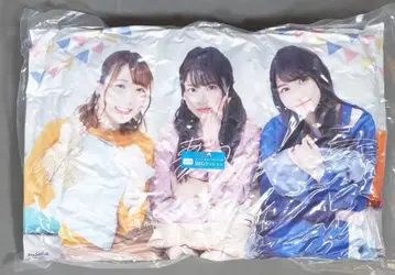 로손/HMV TrySail 복권 TrySail 라스트상 BIG 쿠션
