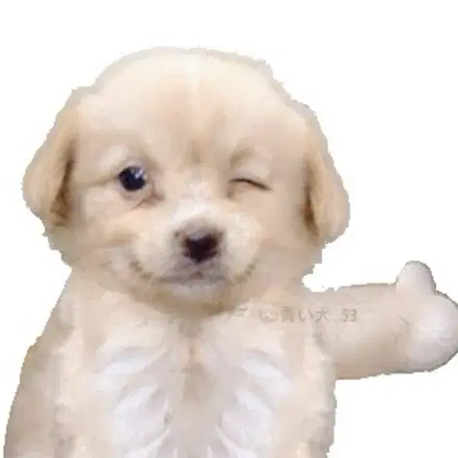 옷 교환해요!