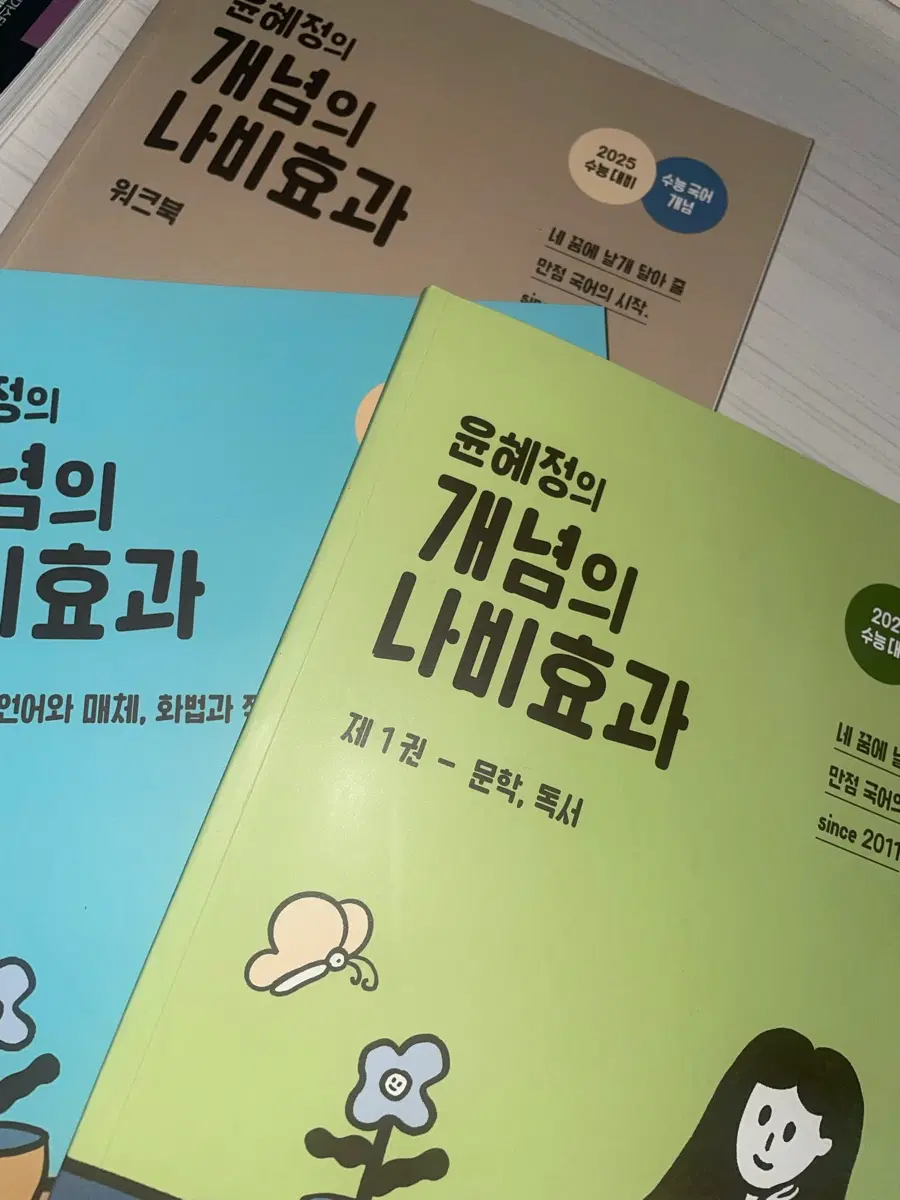 2025 윤혜정 개념의 나비효과 문학 독서