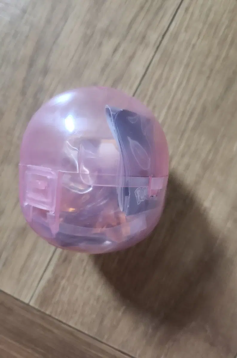 포켓몬 가디
