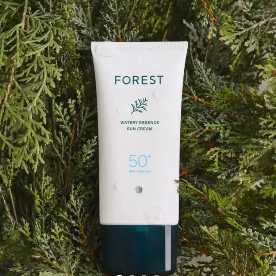 포레스트 워터리 에센스 선크림 SPF50+