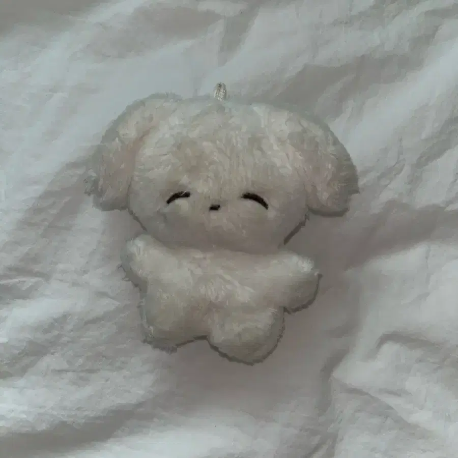 제노 인형