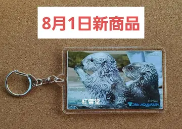 [8월 1일 신상품] 도바 수족관 해달 메이 키라 키링 사이드