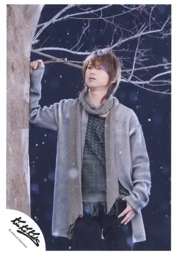 KinKi Kids 06년 Harmony of December 도모토 코이치 공식 사진 *1장