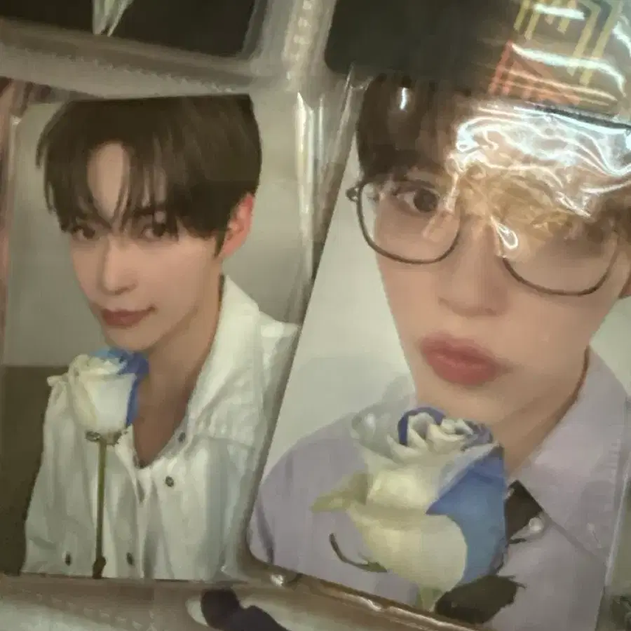 제로베이스원 3기 팬클럽 포토카드 전멤버