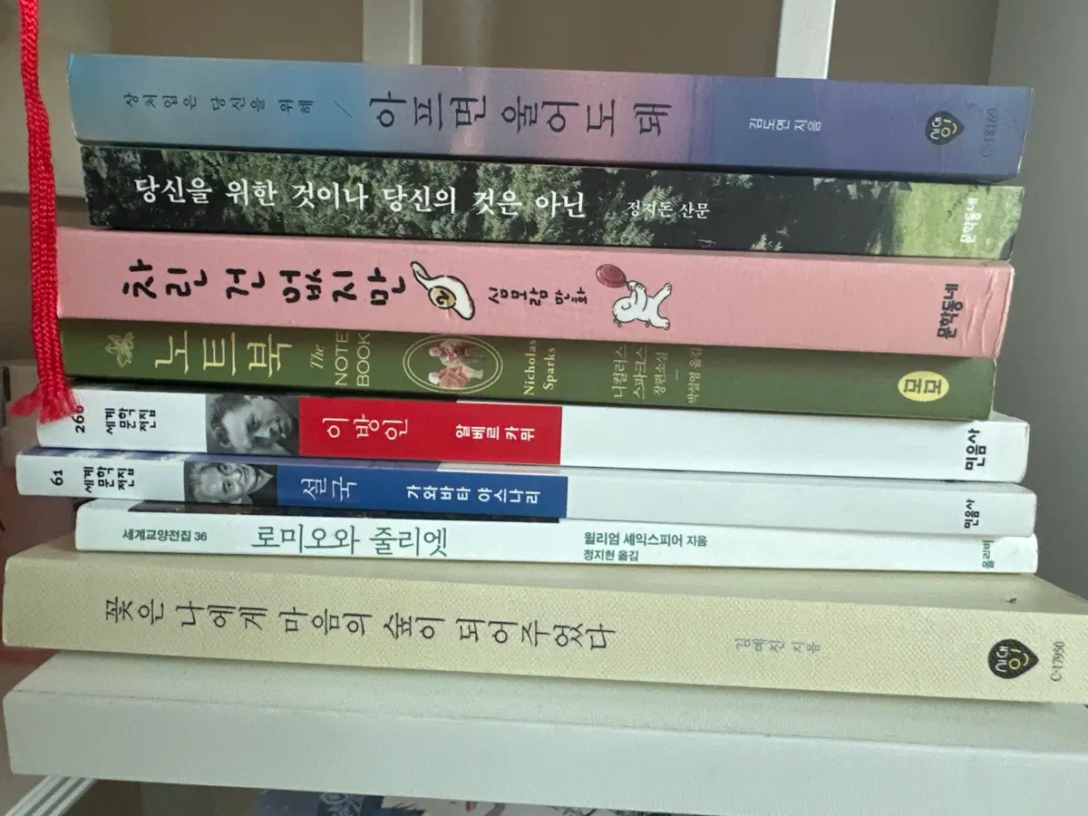 책 골라담기