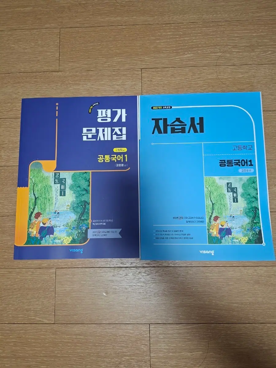 공통국어1 자습서 비상 강호영 자습서, 평가문제집