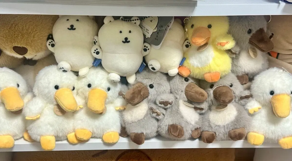 귀여운 오리 농담공 인형 키링 모음