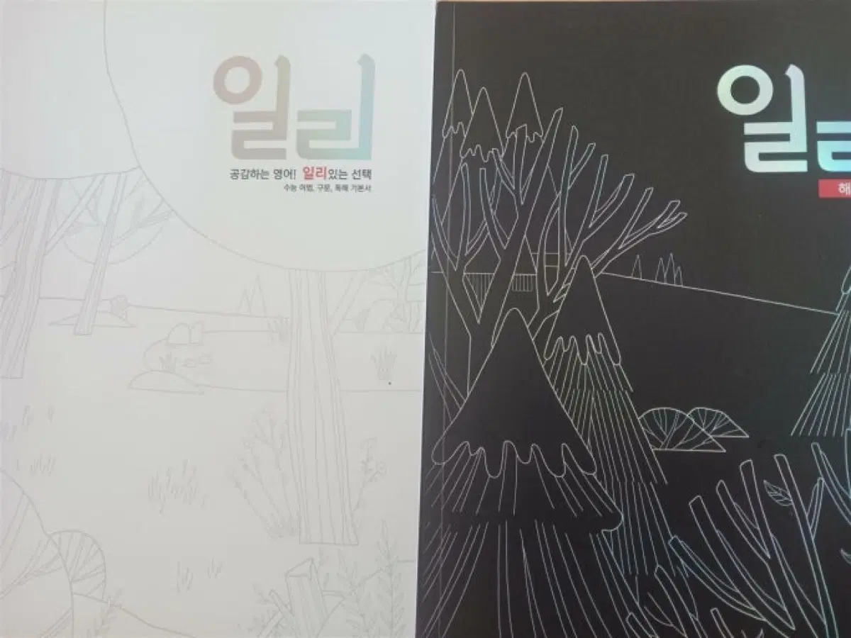 이명학 일리