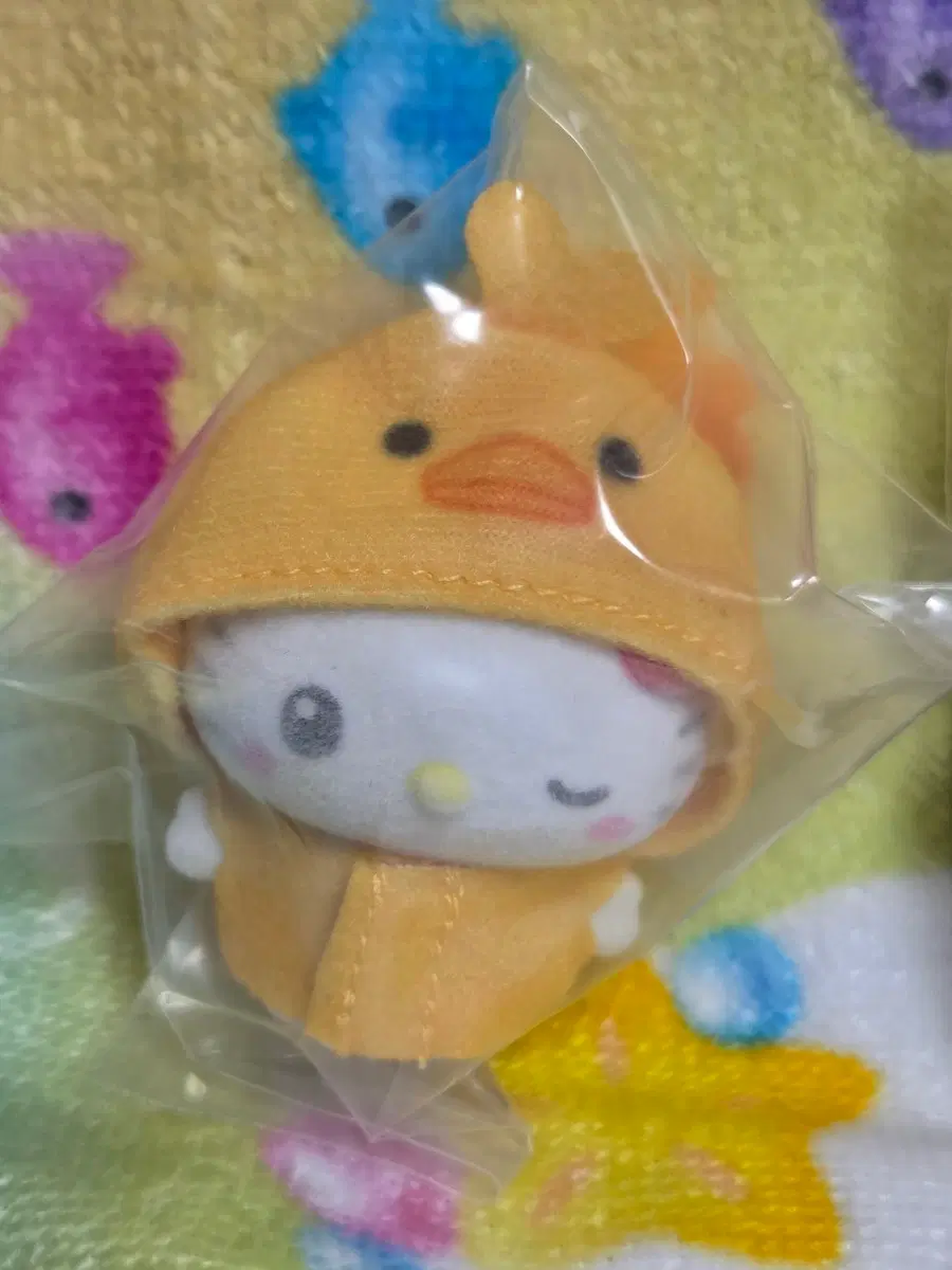 귀요미 키티