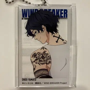 WIND BREAKER 엔도 타케토 아크릴 키링