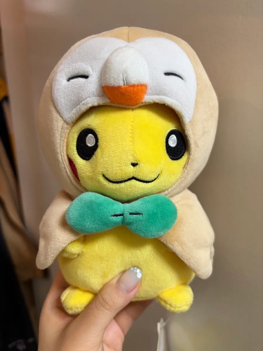 포켓몬센터 판초츄 나몰빼미 인형