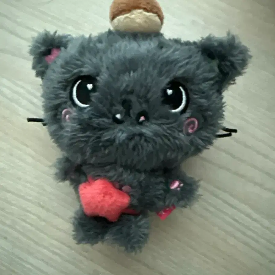 위시돌 쿠리