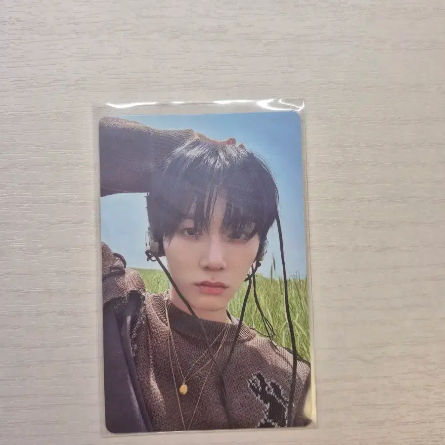 보넥도 태산 why 와이 포카